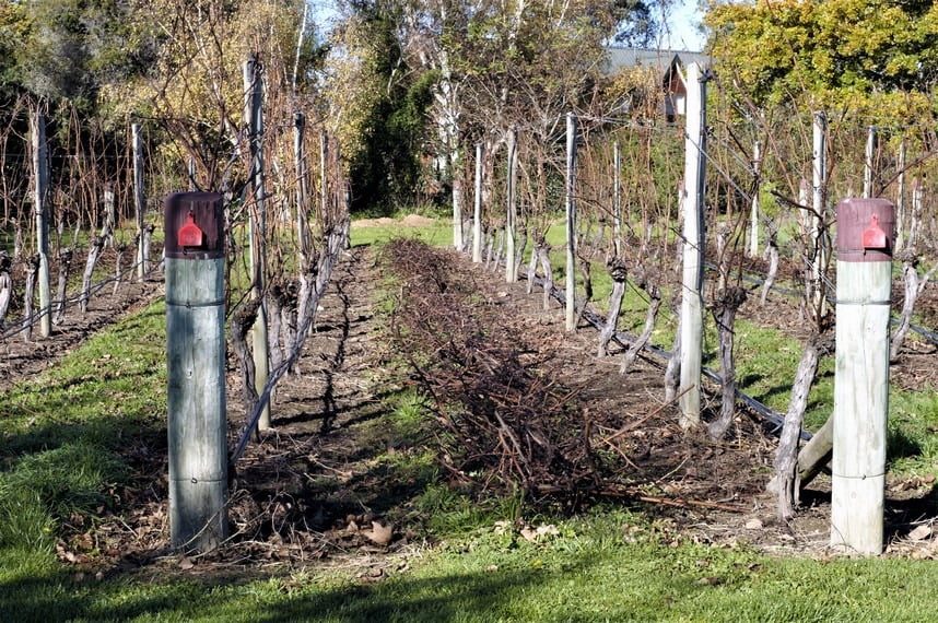 Autumn in Marlborough