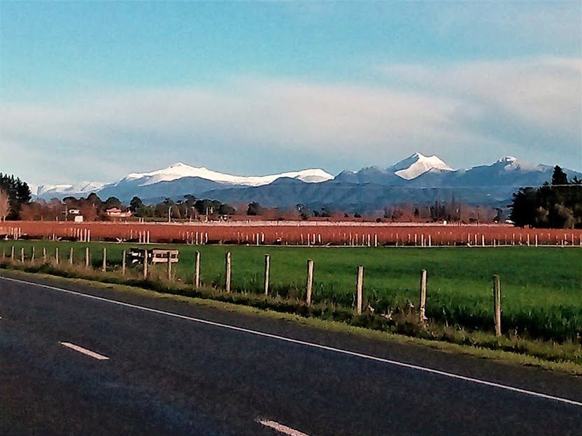 Winter on the way during a wine tour