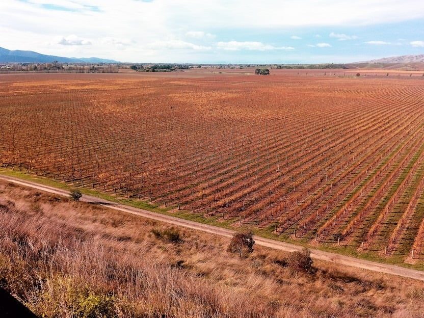View of the Brancott Valley Marlborough in Autumn taken from the Brancott estate cellar door