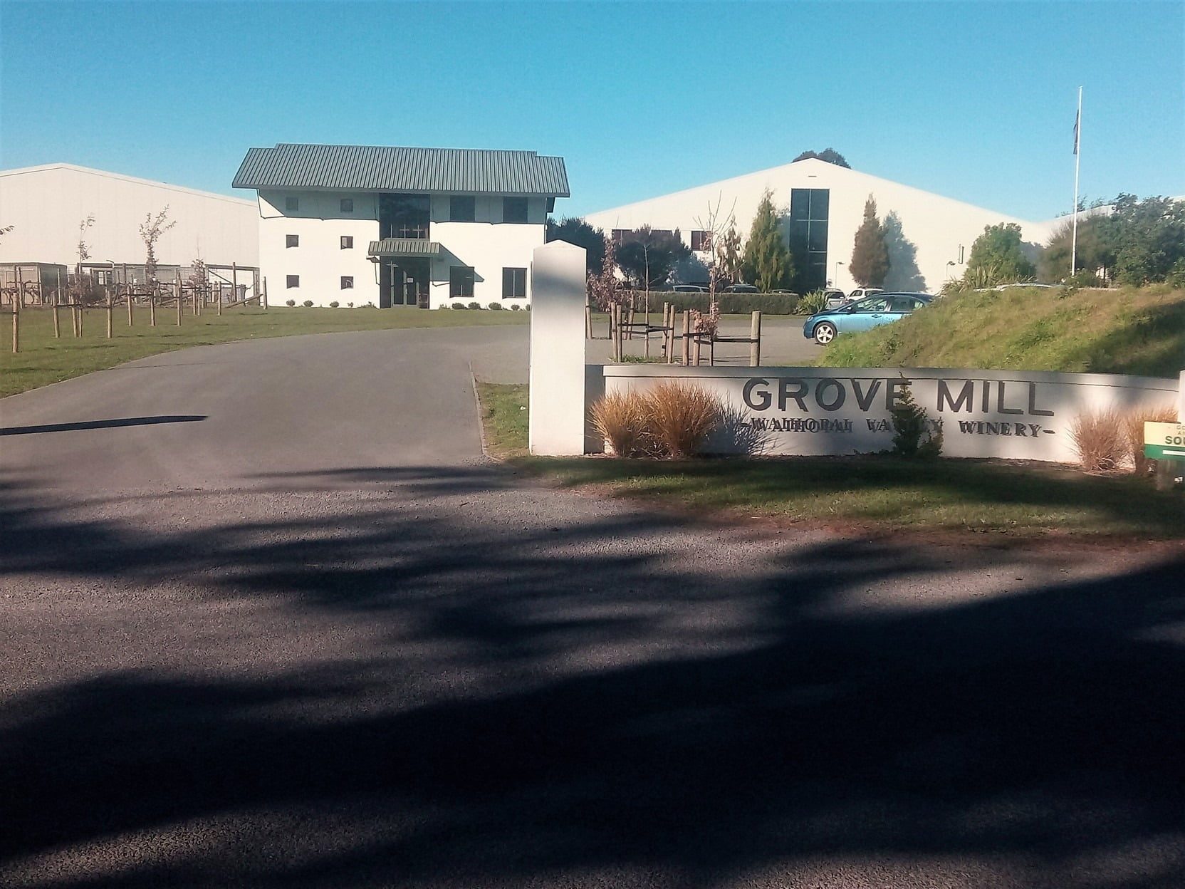 Blenheim vineyards / vineyard tours at Grove Mill