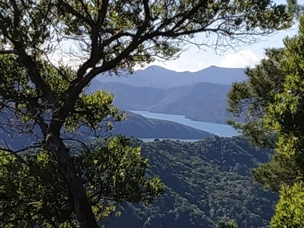 View of the Queen Charlotte Sound