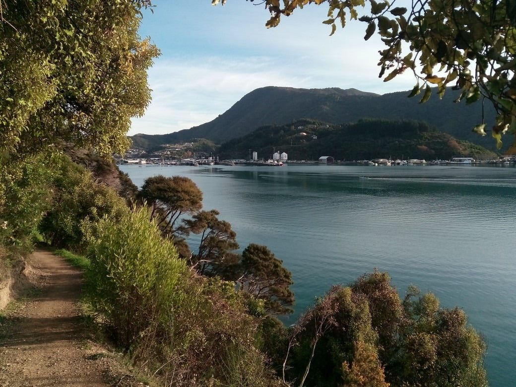 View towards Picton from the Bobs bay walk