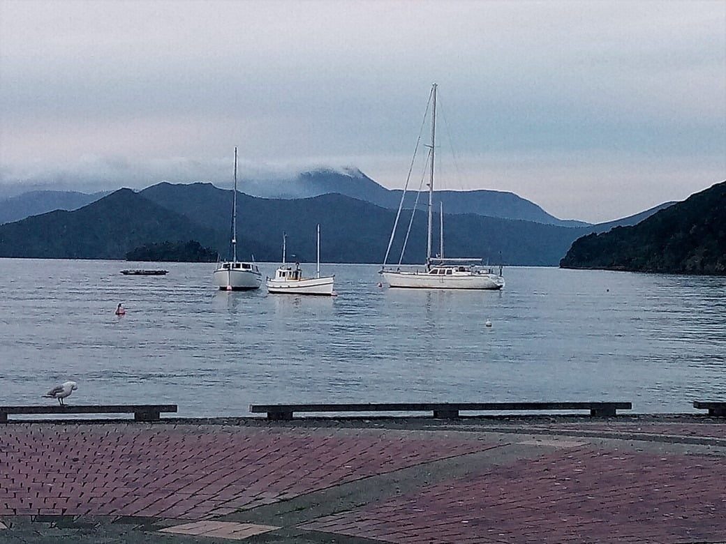 Views near Anakiwa on the Queen Charlotte Sound