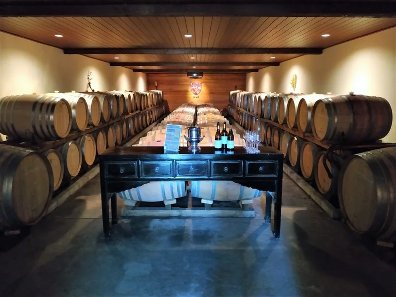 Marlborough Private Wine Tour at Hans Herzog winery