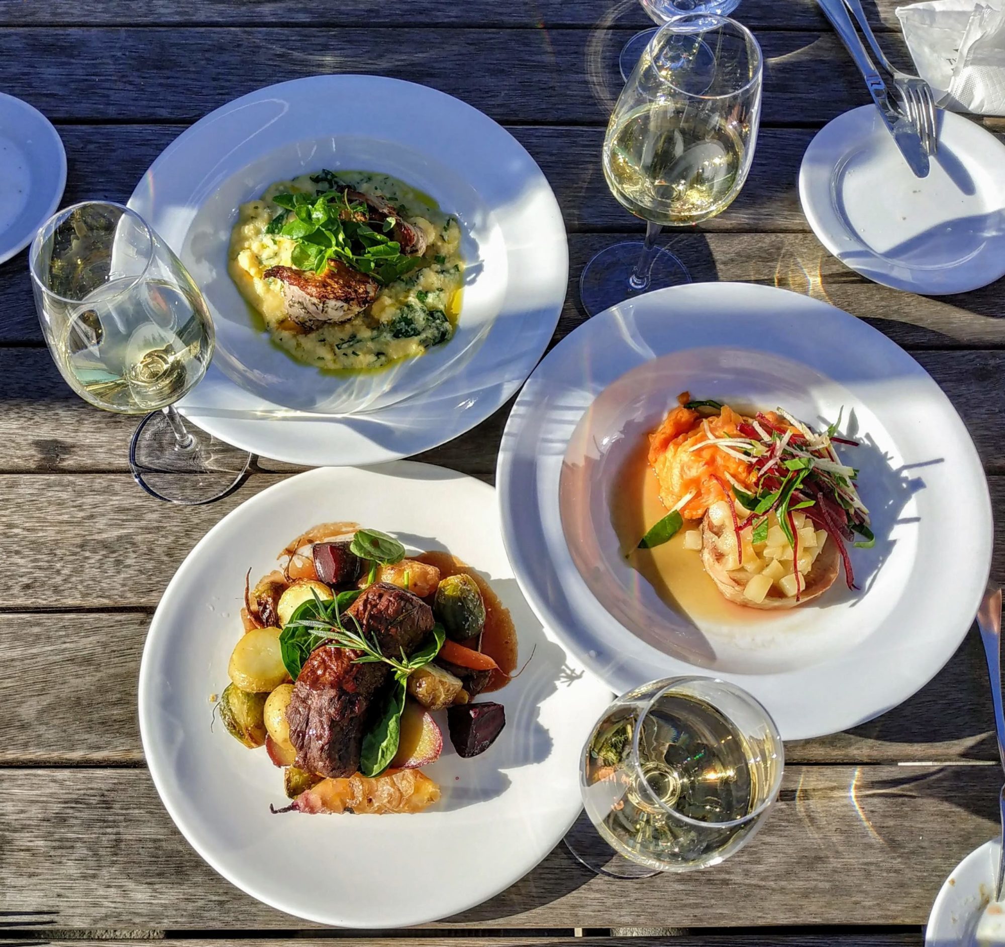 Lunch During a Havelock Wine Tour
