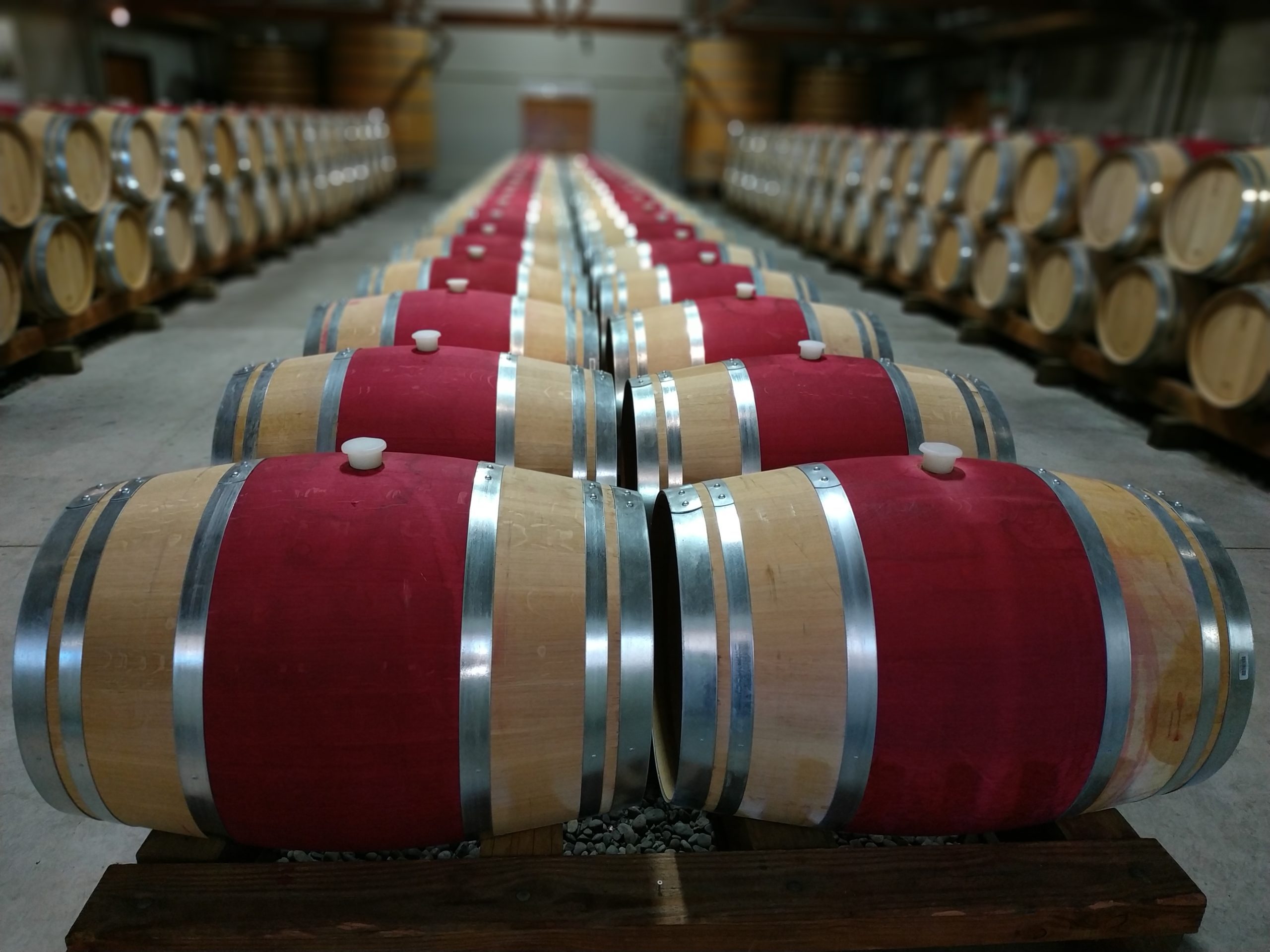 Cellar-Door-Barrel-Room