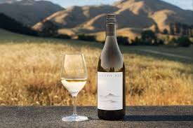 Cloudy Bay winery tour