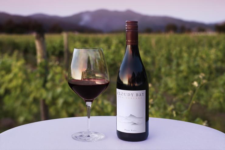 Cloudy bay winery tour