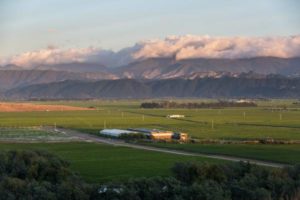 Spy-Valley-Wines-Winery-and-surrounding-vineyards