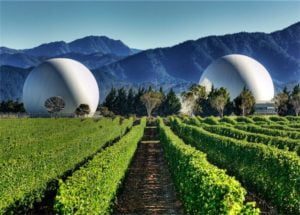 Na-Clachan-ultimate-guide-to-new-zealand-wines-marlborough-wine-tour-spy-valley