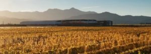 Spy Valley wines in Autumn