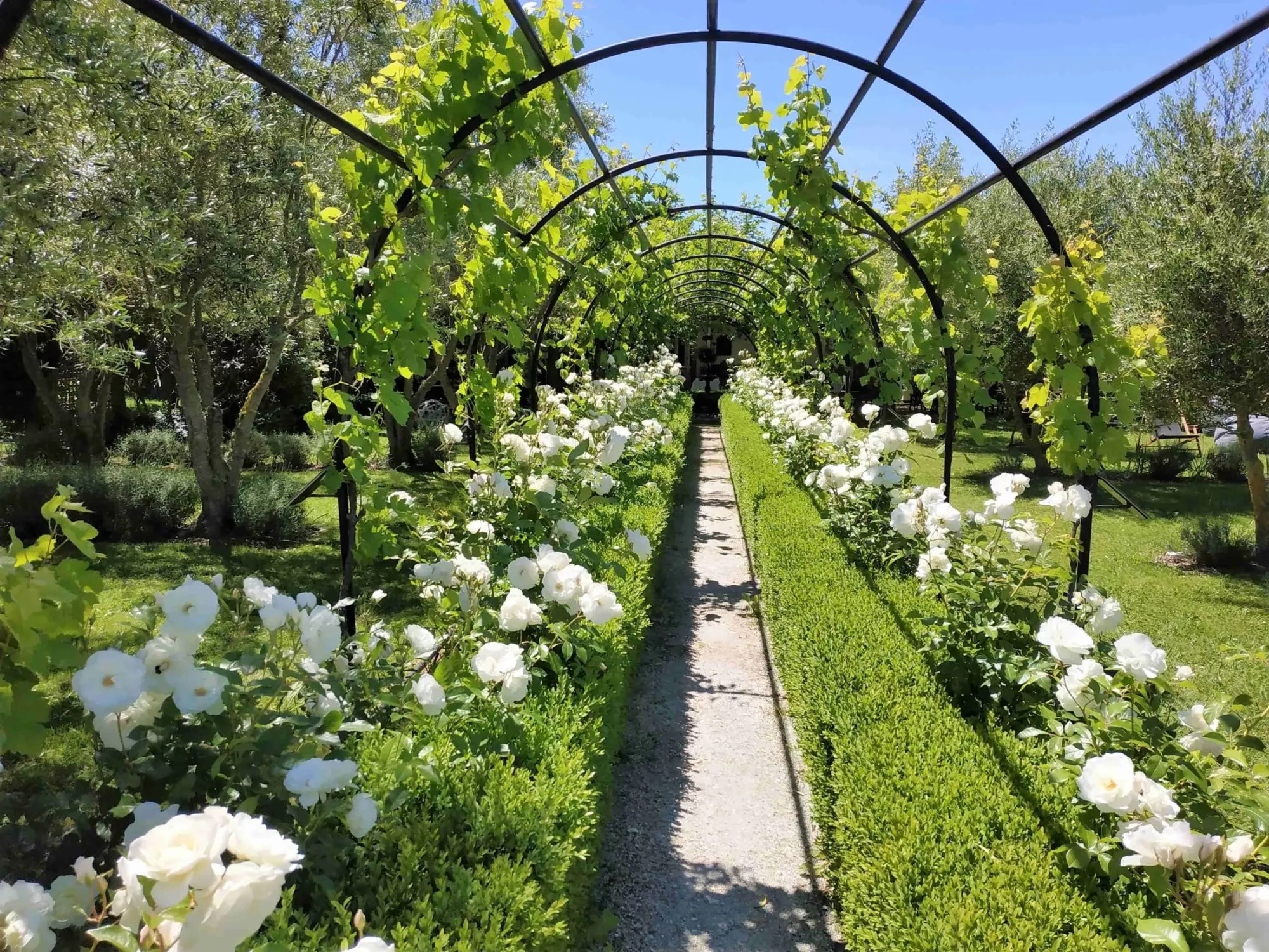 Private-wine-tour-hans-herzog-2