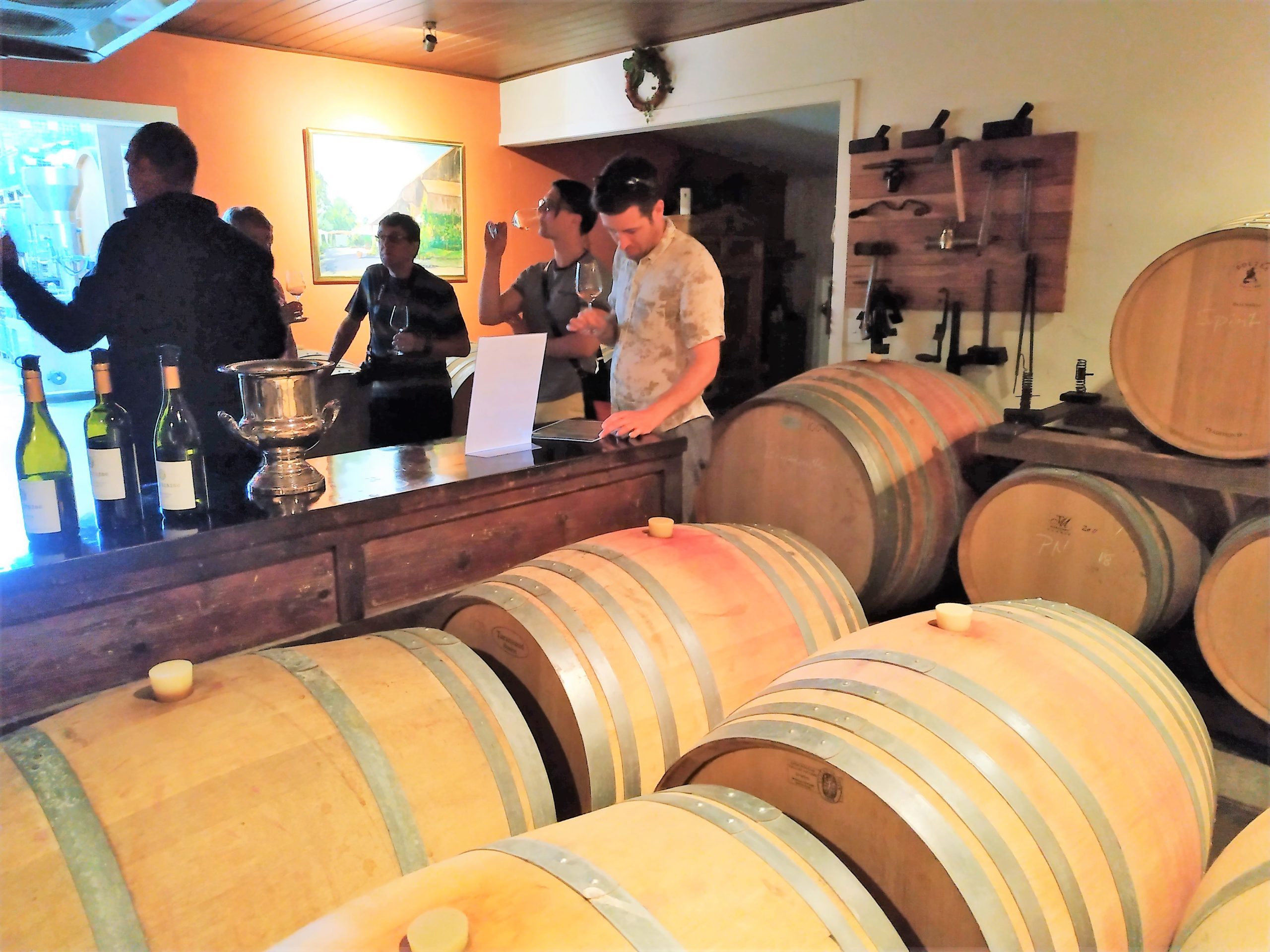 Private-wine-tour-hans-herzog-tasting-in-the-cellar