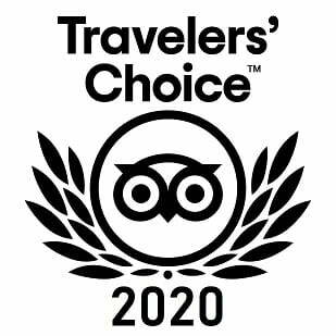 https://discoverywinetours.co.nz/wp-content/uploads/2021/06/Travellers-Choice-2020-50-1.jpg