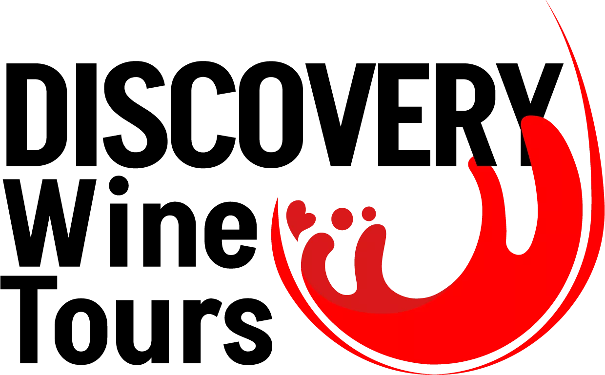 discovery logo alternate