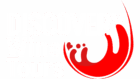 discovery logo alternate white