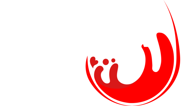 Discovery Wine Tours Logo